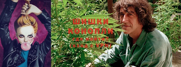 сатива Пестово