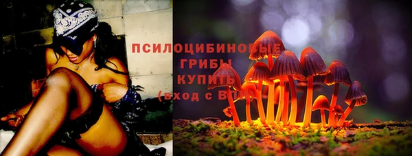 хмурый Переславль-Залесский