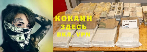 сатива Пестово