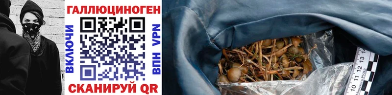 Купить закладки  Западная Двина  Галлюциногенные грибы мухоморы 